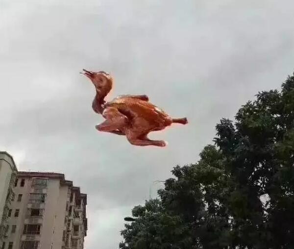 “天鴿”登陸了又怎樣，智彤印刷正常發(fā)放福利！