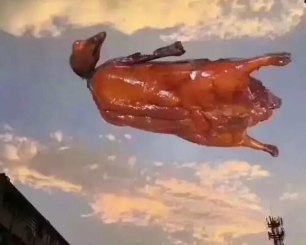 “天鴿”登陸了又怎樣，智彤印刷正常發(fā)放福利！