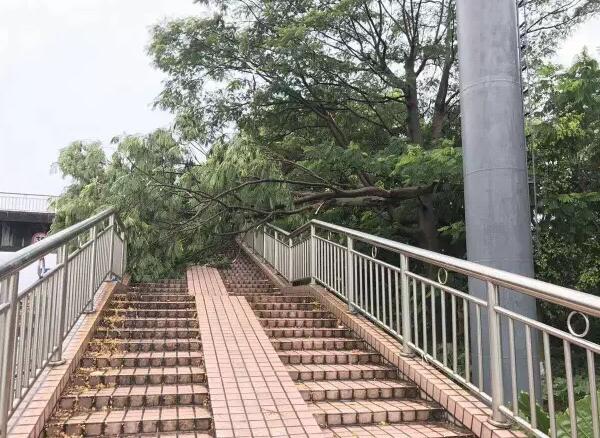 “天鴿”登陸了又怎樣，智彤印刷正常發(fā)放福利！