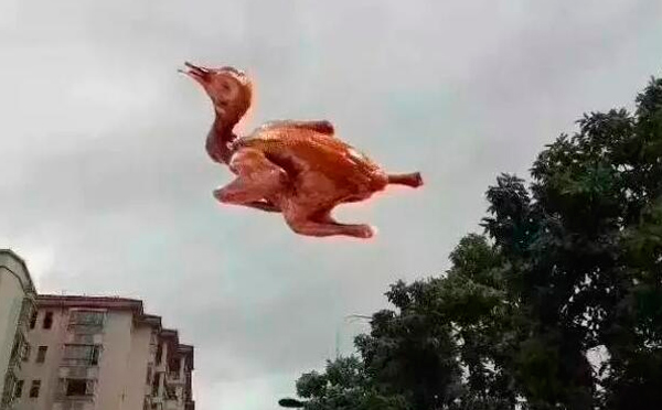 “天鴿”登陸了又怎樣，智彤印刷正常發(fā)放福利！